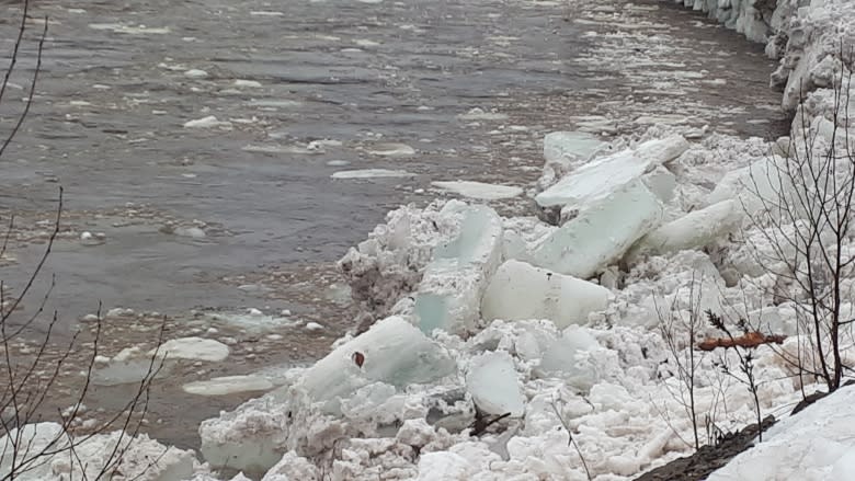 Thousands face power outages, flooding as heavy rains wallop New Brunswick