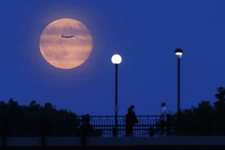 Aircraft passes in front of a Supermoon rising over the Rideau Canal in Ottawa July 12, 2014. REUTERS/Blair Gable