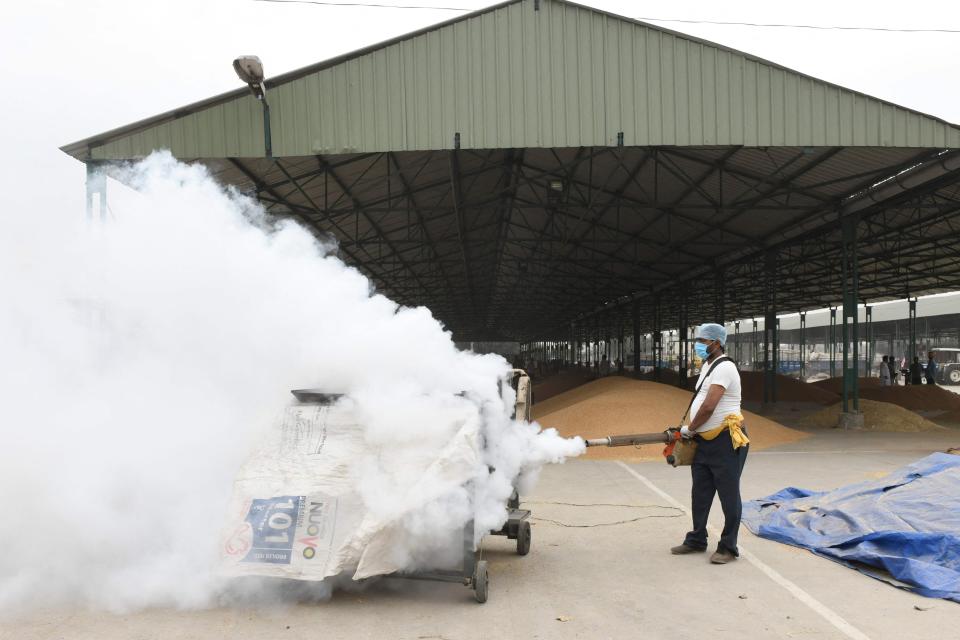 A volunteer sprays disinfectant to sanitize a wholesale grain marketAFP via Getty Images