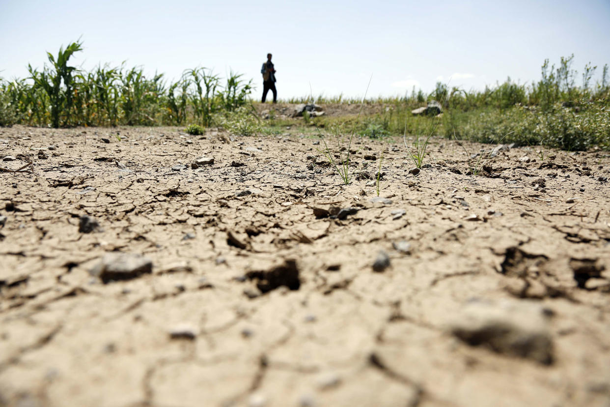 Heat Wave Drought Yemen Mohammed Hamoud/Anadolu Agency via Getty Images