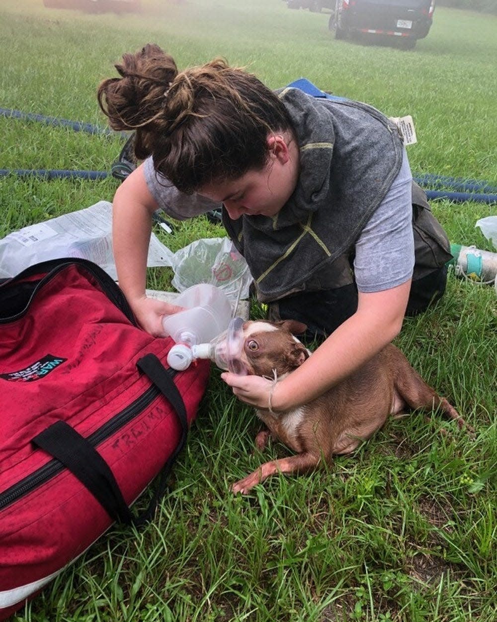 An Amazon driver is being hailed a pet hero after rescuing three puppies from a burning Florida home on 
Aug. 30, 2022.