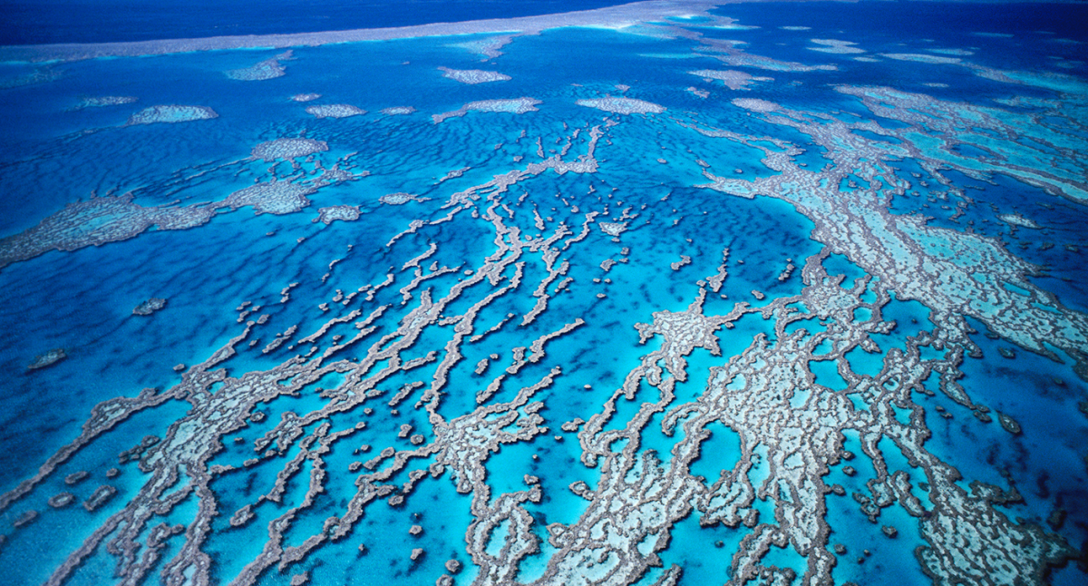 Martin Zavan - Greenpeace Australia Pacific