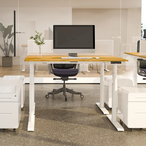 FlexiSpot Pro Plus Standing Desk in office