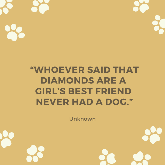 Whoever Said Diamonds Are A Girl's Best Friend Never Had A -  UK