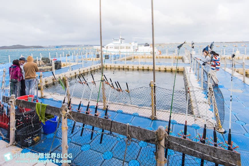 澎湖｜海洋牧場