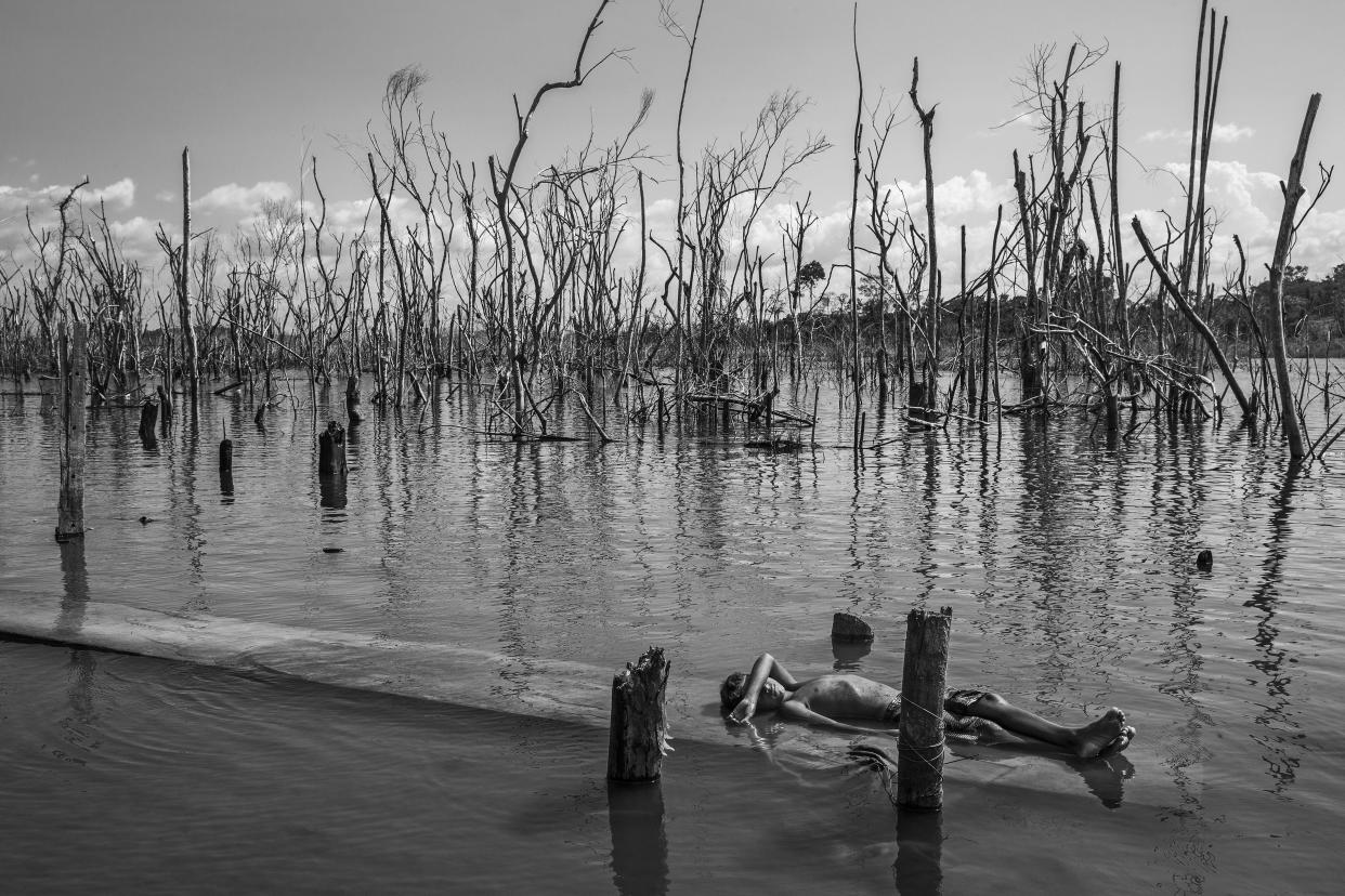 This image provided by World Press Photo, part of a series titled Amazonian Dystopia, by Lalo de Almeida for Folha de Sao Paulo/Panos Pictures which won the World Press Photo Long-Term Project award,, shows A boy rests on a dead tree trunk in the Xingu River in Paratizao, a community located near the Belo Monte hydroelectric dam, Par·, Brazil, on August 28, 2018. He is surrounded by patches of dead trees, formed after the flooding of the reservoir. (Lalo de Almeida for Folha de Sao Paulo/Panos Pictures/World Press Photo via AP)