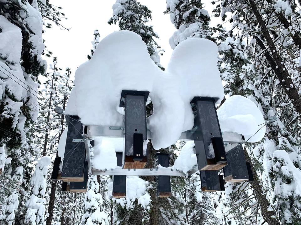 Snow piles up on the experiment’s bird feeders. Each chickadee has a radio frequency identification tag that opens its assigned feeder, allowing scientists to track its movements and memory. Vladimir Pravosudov