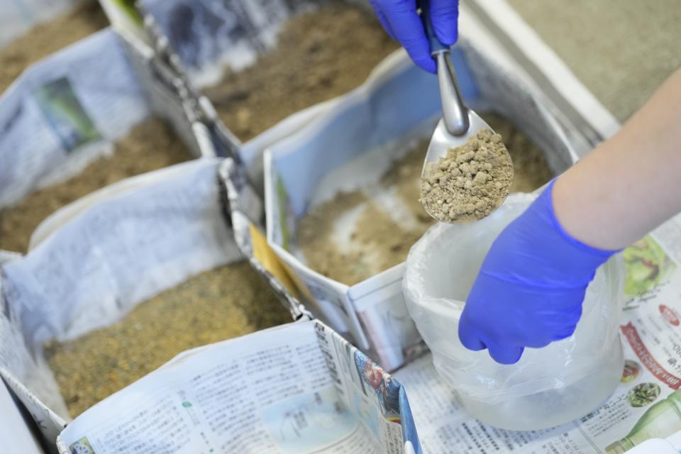 A staff prepares to test a sample soil taken near the Fukushima Daiichi nuclear power plant, damaged by a massive March 11, 2011, earthquake and tsunami, at Mothers' Radiation Lab Fukushima, known as a citizens' testing center Tarachine, in Iwaki, northeastern Japan on Friday, Aug. 25, 2023. The Fukushima Daiichi nuclear power plant started releasing treated and diluted radioactive wastewater into the Pacific Ocean on Thursday. (AP Photo/Eugene Hoshiko)