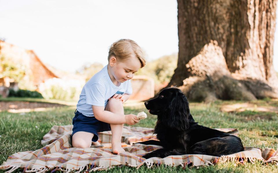 Prince George - Matt Porteous /PA