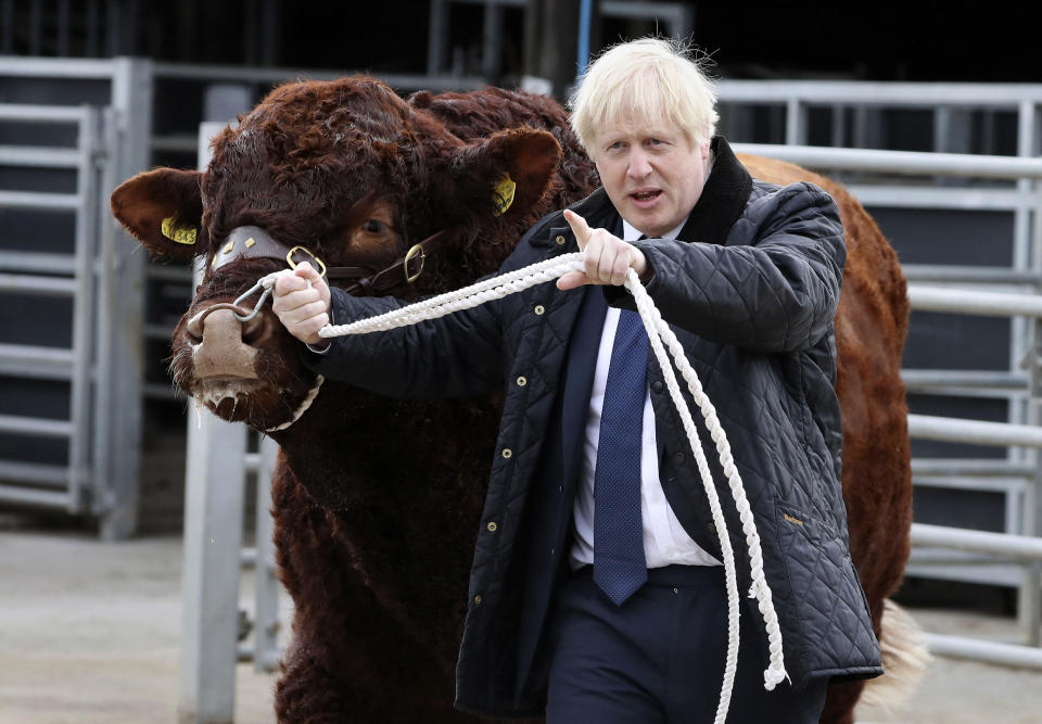 Britain's Prime Minister Boris Johnson visits Darnford Farm in Banchory near Aberdeen, Scotland, Friday Sept. 6, 2019, to coincide with the publication of Lord Bew's review and an announcement of extra funding for Scottish farmers. (Andrew Milligan/PA via AP)