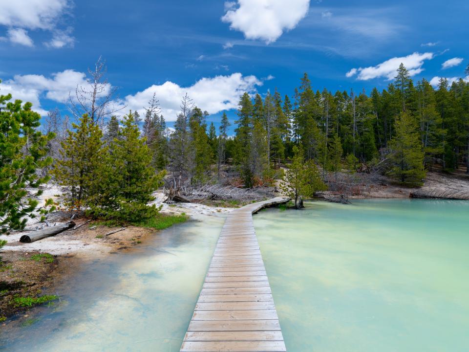 A bridge over the blue waters of Nuphar Lake in the Norris Geyser Basin at Yellowstone National Park.