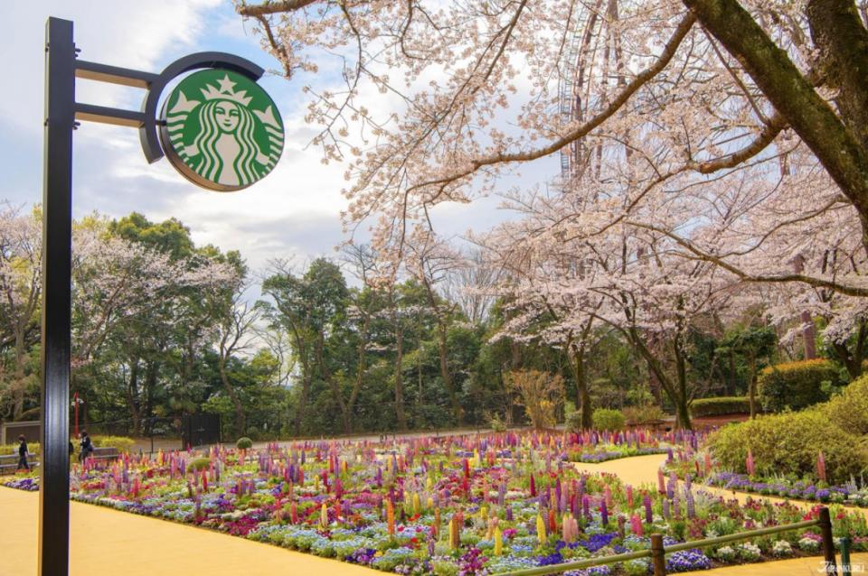 絕美花室星巴克！2020東京打卡新景點 讀賣樂園HANA・BIYORI數位娛樂型植物園