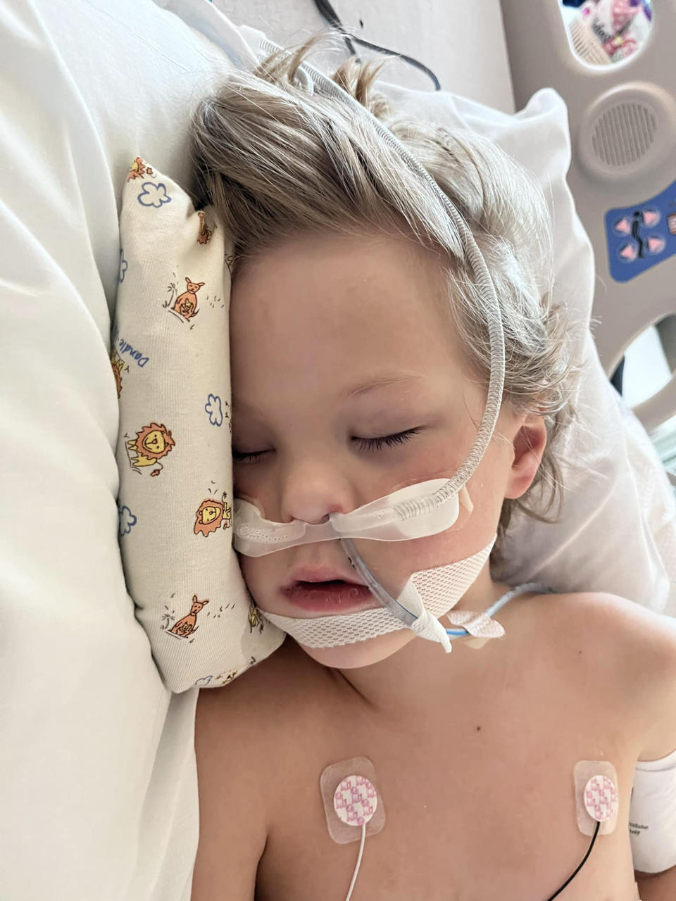 Aiden had a serious reaction to having ehrlichiosis and experienced several seizures with one lasting more than six hours. (Courtesy Laiken Debusk)