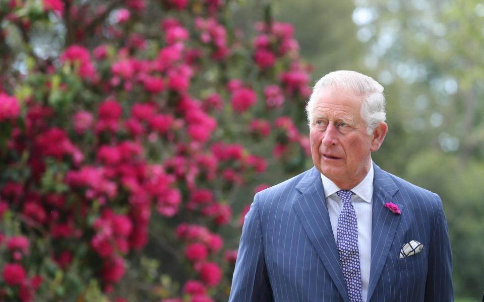 The Prince of Wales, founder of the British Asian Trust, encouraged the appeal  - Chris Jackson /Getty Images