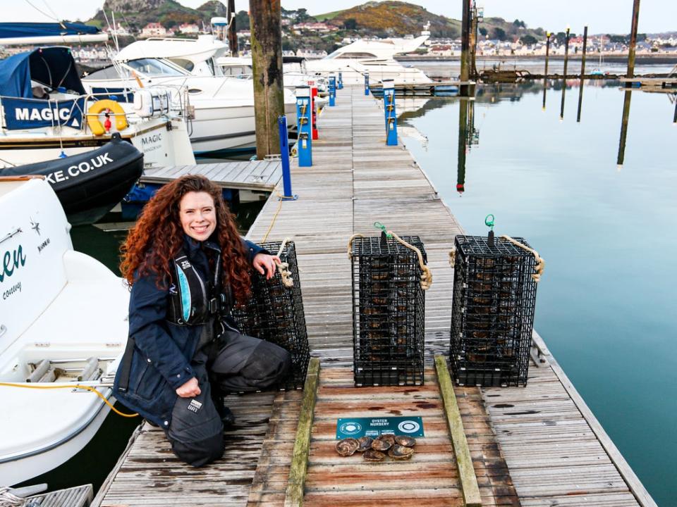 Celine Gamble, manager of the Wild Oysters Project, at Conwy Bay in Wales (Zoological Society of London)