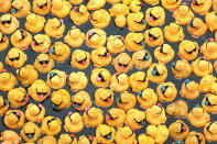 <p>Rubber ducks float down the Chicago River during the Windy City Rubber Ducky Derby on August 3, 2017 in Chicago, Illinois. (Photo: Scott Olson/Getty Images) </p>