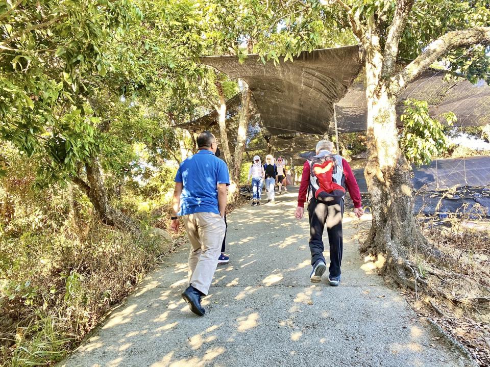 大坑9號步道今年10月完工   圖：台中市觀旅局／提供