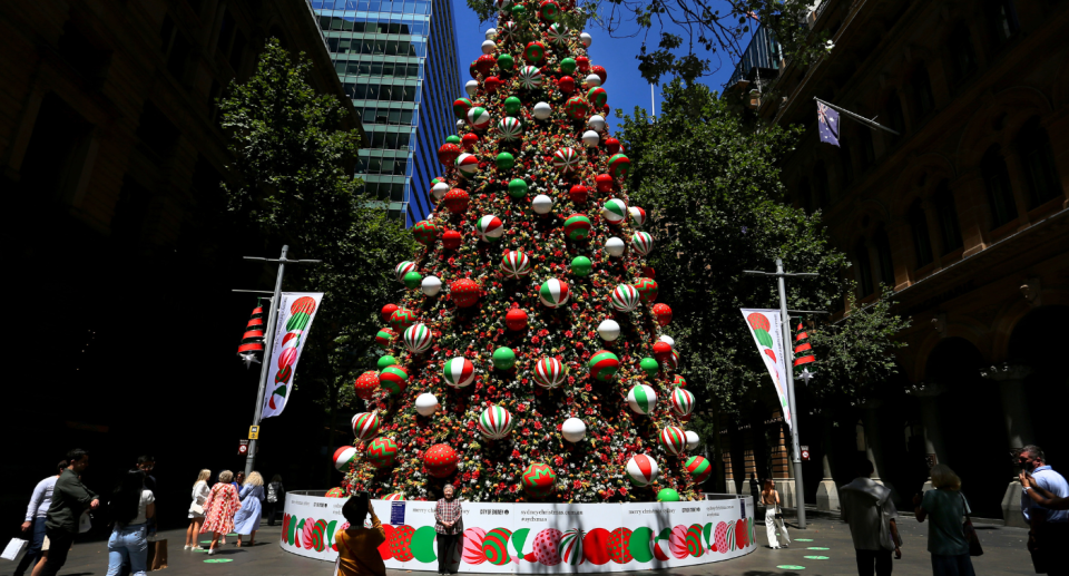 Image of a large Christmas tree in Australia. 