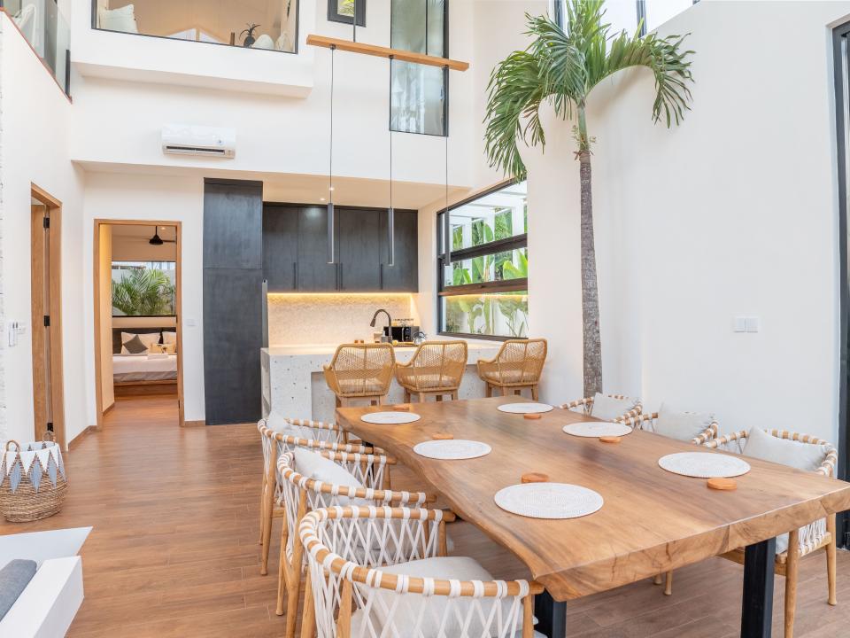 A modern dining area with a palm tree.