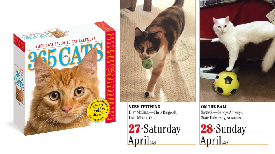 Best gifts under $20: Cat calendar