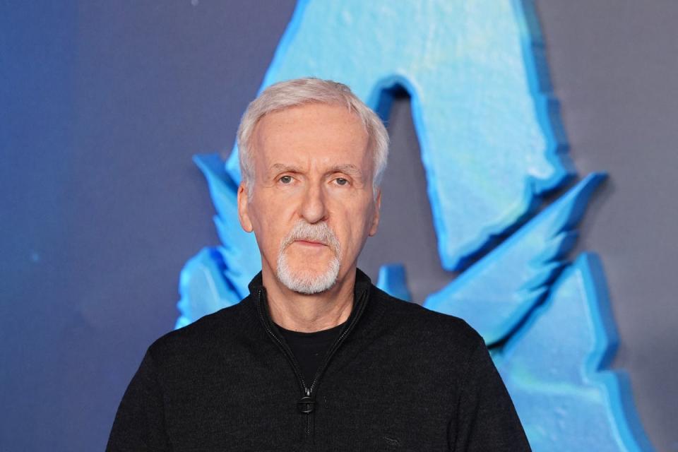 James Cameron has himself visited the wreckage of the famous ocean liner 33 times (PA Wire)