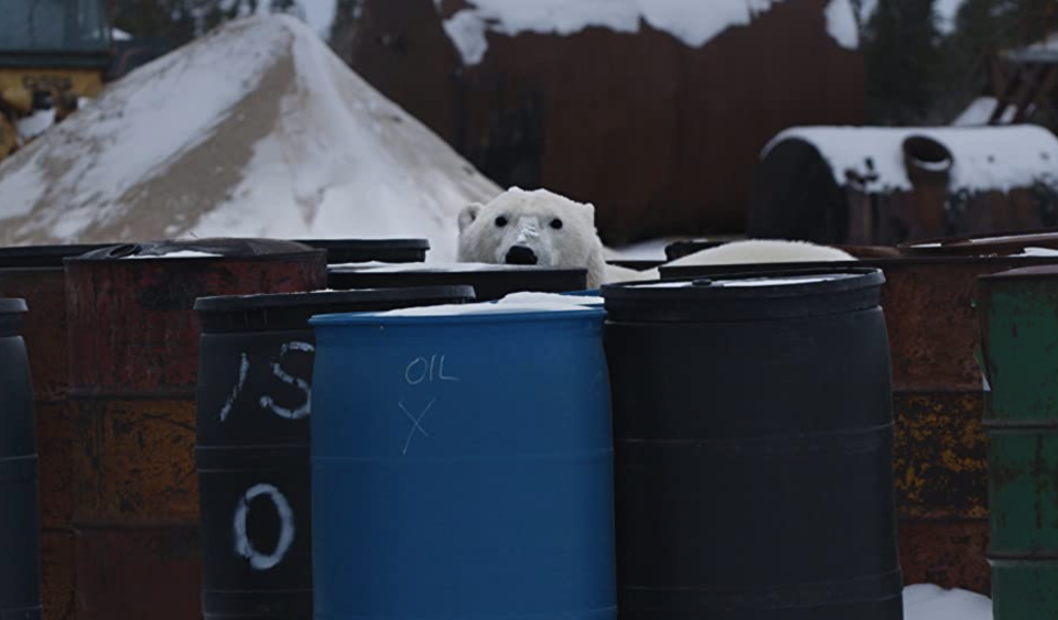 A polar bear peers over barrels in 'Nuisance Bear'
