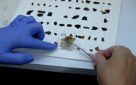 A worker of the Israeli Antiquity Authority sews fragments of the Dead Sea scrolls which includes biblical verses in a preservation laboratory of the Israel Museum in Jerusalem - Credit: Moment Mobile ED