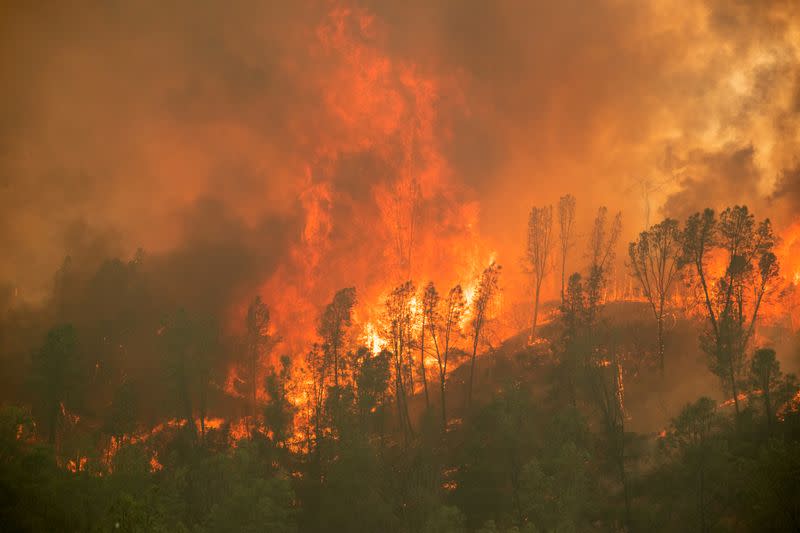 LNU Lightning Complex Fire engulfs a ridge line near Aetna Springs, California