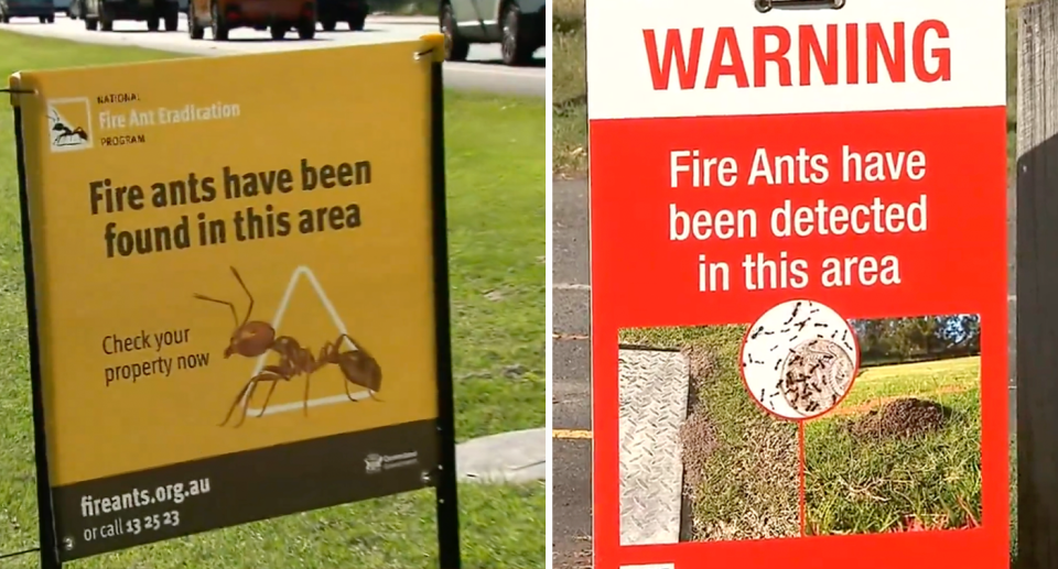 Two fire ant warning signs seen in Queensland, as authorities work to combat the spread of the invasive pest. 