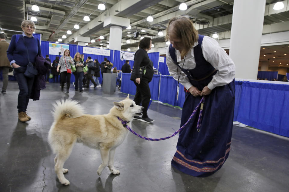 In this Saturday, Jan. 25, 2020 photo, Ghost, a Norwegian buhund, and his Patricia owner Faye Adcox greet visitors at the American Kennel Club’s “Meet the Breeds” event in New York. Ghost is competing at the Westminster Kennel Club dog show, but he’s also a therapy dog that makes weekly rounds to see patients, staffers and visitors at a Delaware hospital, and he visits schools to serve as a nonjudgmental listener for children learning to read. (AP Photo/Jennifer Peltz)