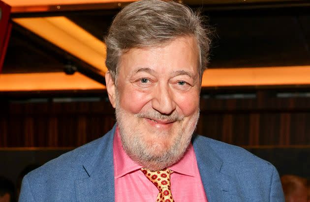 Stephen Fry  (Photo: David M. Benett via Getty Images)