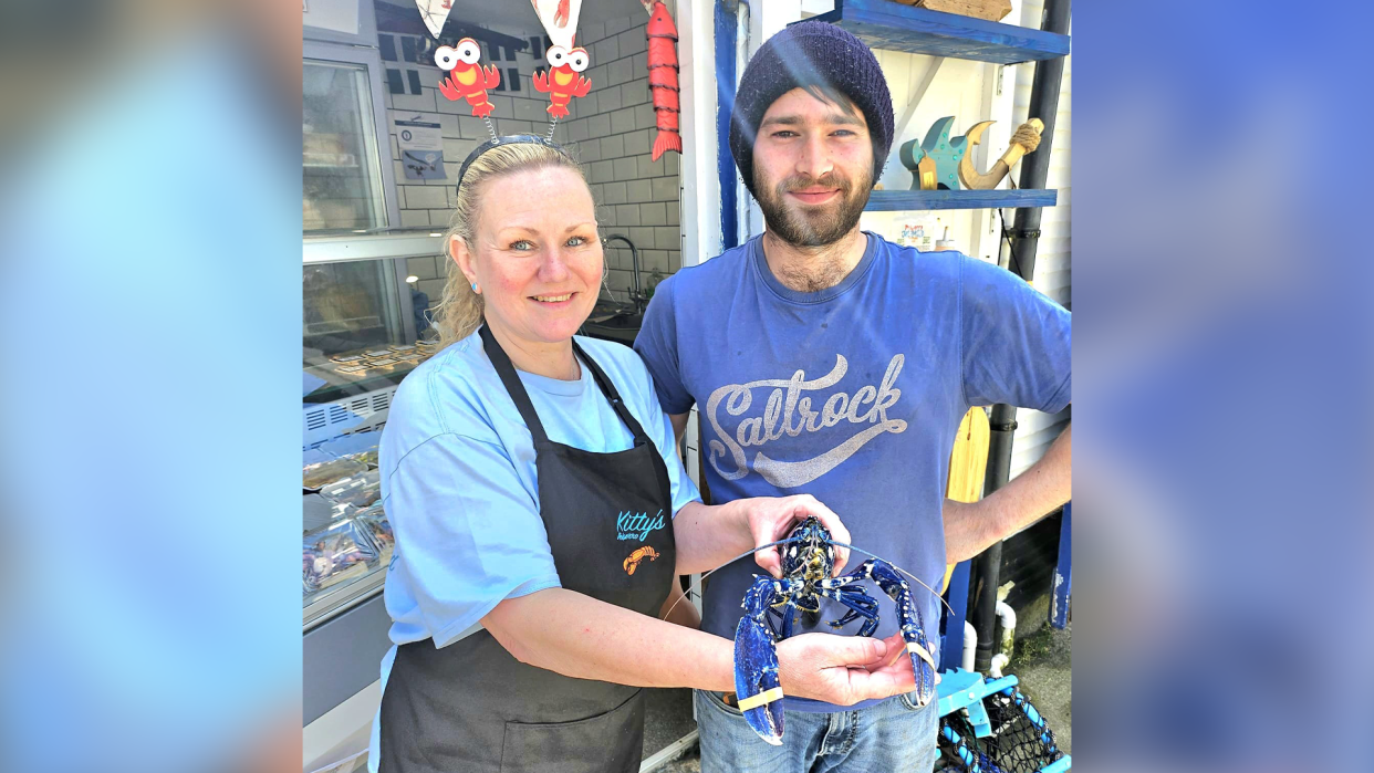 Fishmonger Jacqueline Spencer (left) and Polperro fisherman Chris Puckey (right) pose with a blue lobster that was captured off the coast of their village in England.  / Credit: Peter Spencer