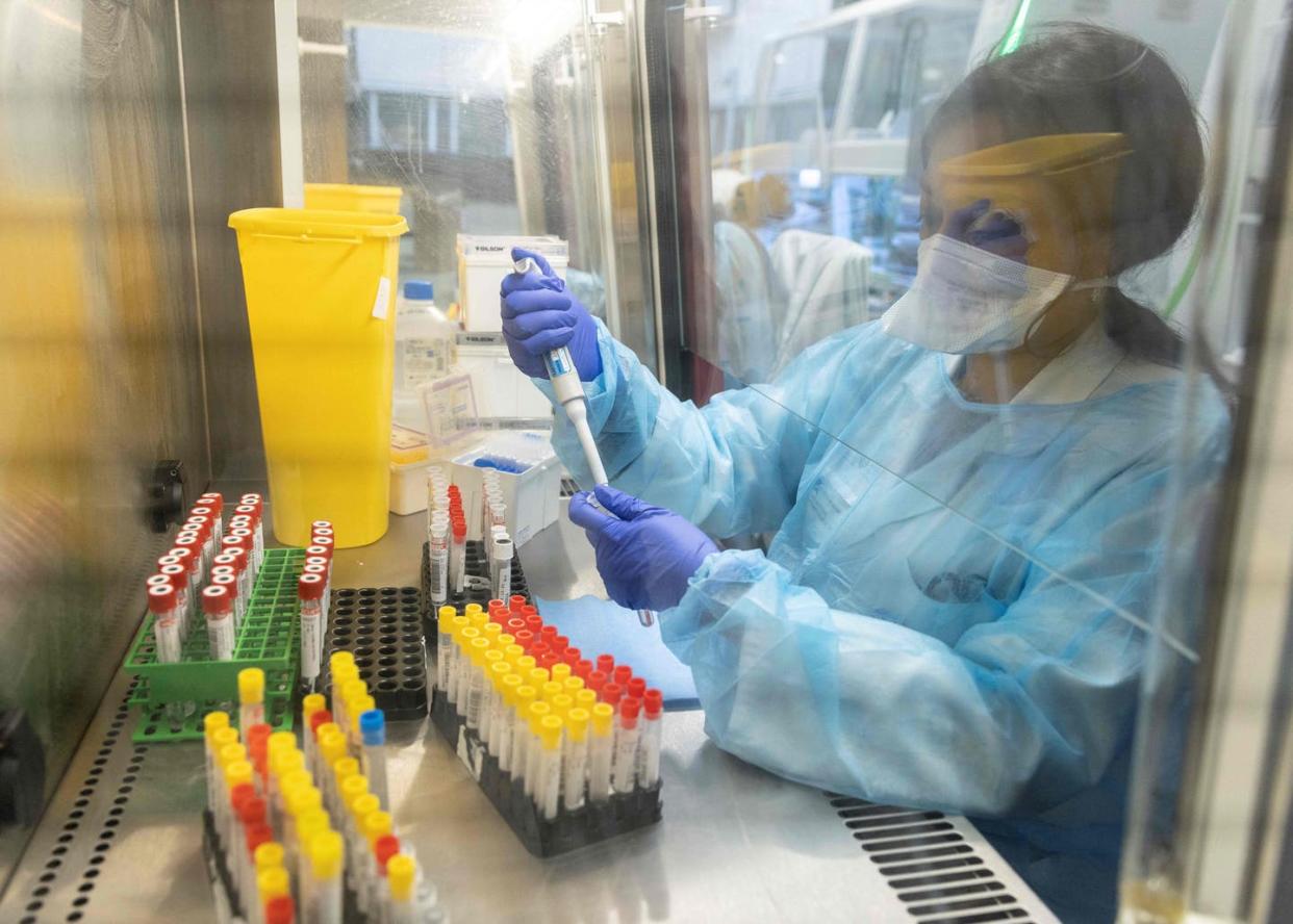 <span class="caption">A researcher works with COVID-19 samples from patients.</span> <span class="attribution"><a class="link " href="https://www.gettyimages.com/detail/news-photo/laboratory-operator-handles-positive-covid-19-samples-to-be-news-photo/1237075524" rel="nofollow noopener" target="_blank" data-ylk="slk:Thomas Samson/AFP via Getty Images;elm:context_link;itc:0;sec:content-canvas">Thomas Samson/AFP via Getty Images</a></span>