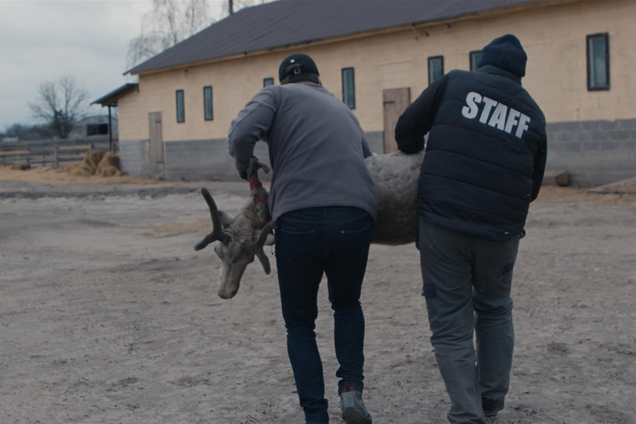 A scene from the Ukrainian-made documentary, Searching for Nika. (Courtesy Stanislav Kapralov)