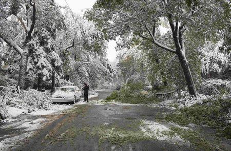 A man sweeps his car off to move it from falling tree limbs during a summer snow storm in Calgary, Alberta, September 10, 2014. REUTERS/Todd Korol