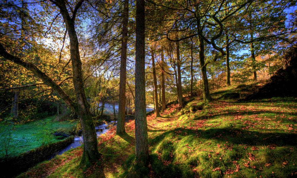 <span>Photograph: Stephen Fleming/Alamy</span>