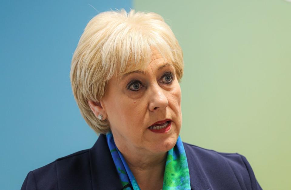 Ireland’s minister for social protection, Heather Humphreys, has set up a stakeholder group to review dog control regulations (PA)