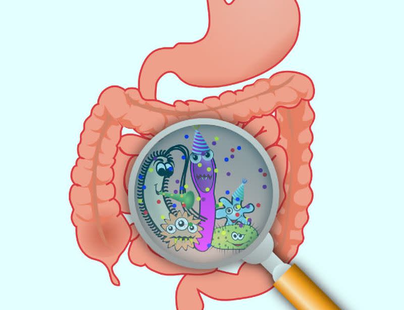 En nuestro cuerpo viven más de 2000 especies diferentes de microorganismos a los que llamamos Microbiota | imagen Open Clip Art creative commons