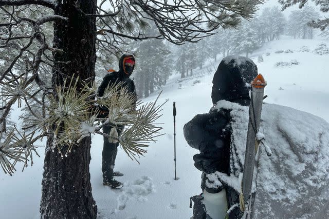 <p>LASD</p> Rescue team on Mt. Baldy, California on Feb. 5, 2024.