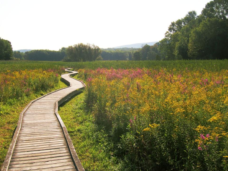 New Jersey: Pochuck Boardwalk