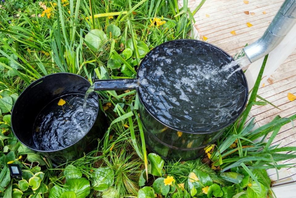 Two rain buckets collecting water from a downspout