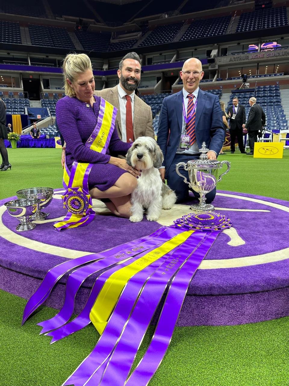 Buddy Holly, 2023 Westminster Dog Show champion, will be sworn in as canine mayor of Palm Springs.