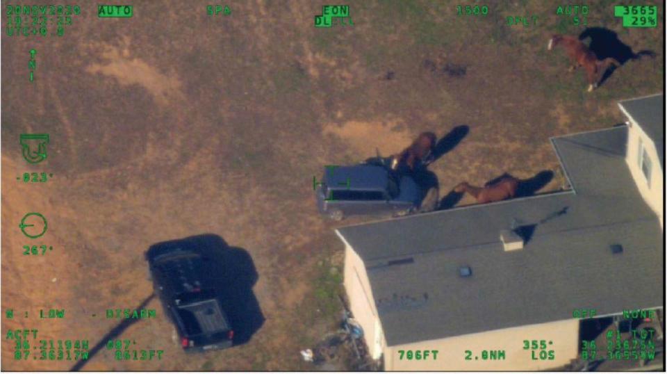 Authorities tracked Darrin Lopez's financial records and conducted aerial surveillance of his home. They discovered a black Nissan truck with a 