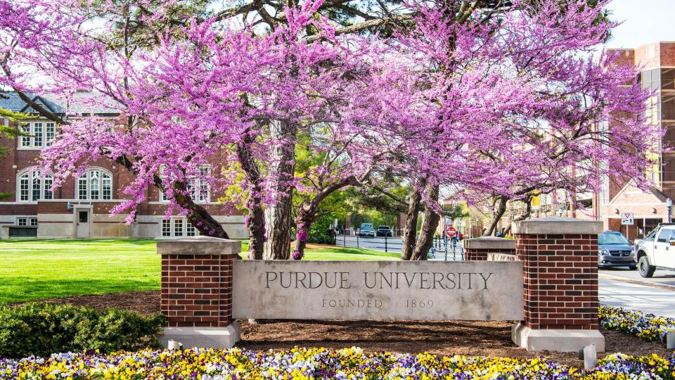 Purdue University garden with Western Redbud tree in the corner of Grant and State Streets.