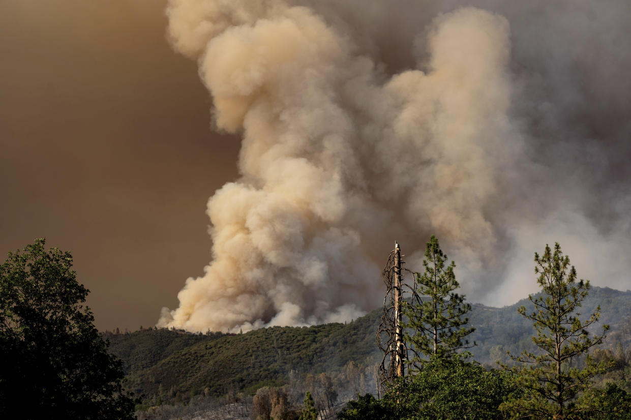 The Oak Fire burns near the Jerseydale community of Mariposa County, Calif., on Saturday, July 23, 2022. (AP Photo/Noah Berger)