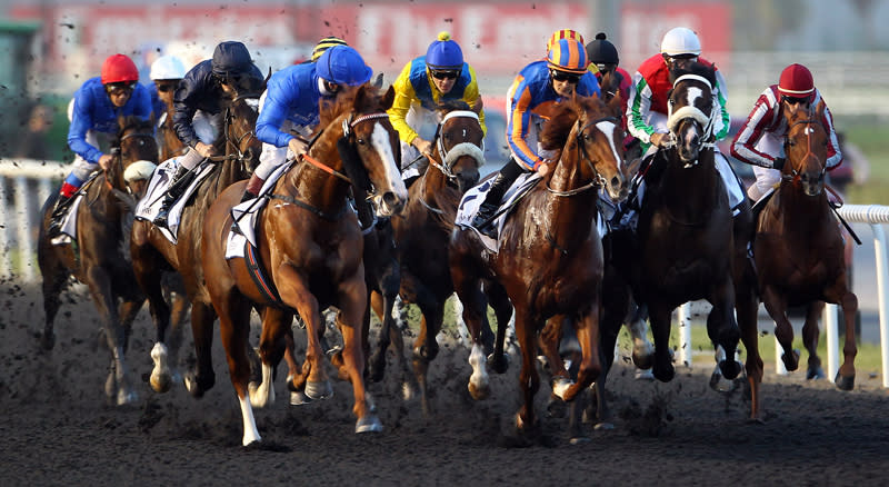 Jockeys compete in the UAE Derby during