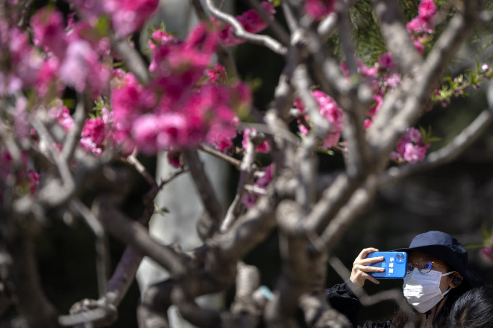 A woman wearing a face mask takes a photo of blossoming trees at a public park in Beijing, Thursday, April 14, 2022. (AP Photo/Mark Schiefelbein)