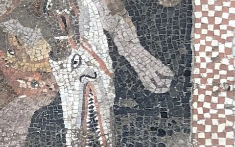 Archeologists found mosaics depicting wild animals, including what appears to be a crocodile and hunting dogs - Credit: Pompeii