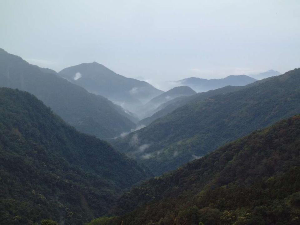 120元逛整天！「南部小溪頭」4/21起免預約入園，票價、路線、交通資訊一次看