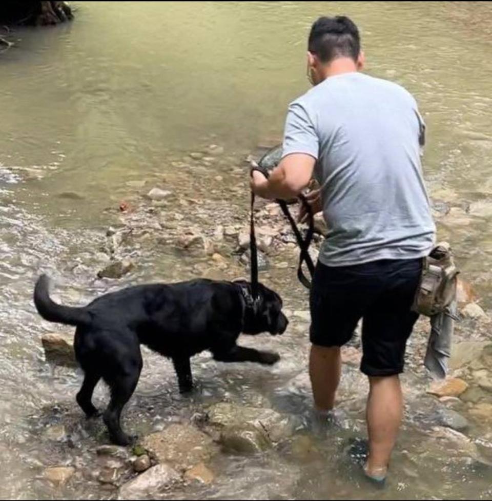 台灣首隻電偵警犬「Wafer」包含隨身碟、手機都能聞出。取自駐洛杉磯台北經濟文化辦事處臉書　